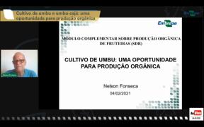 WhatsApp Image 2021-02-05 at 15.06.53.jpeg