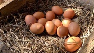 normal_159233663516_06_20_granja_de_ovos_caipira_FORA.jpg