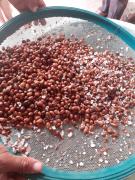 WhatsApp Image 2021-03-25 at 15.37.48.jpeg