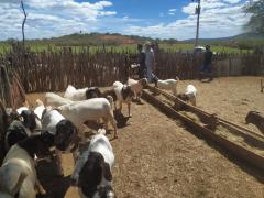 WhatsApp Image 2021-04-07 at 16.05.56 (3).jpeg