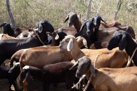 WhatsApp Image 2021-05-07 at 15.05.16.jpeg