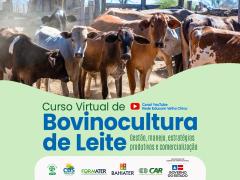 WhatsApp Image 2021-05-19 at 15.42.30.jpeg