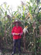 WhatsApp Image 2021-05-25 at 09.22.15.jpeg