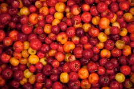 WhatsApp Image 2021-05-26 at 16.39.40 (1).jpeg