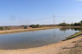 WhatsApp Image 2021-08-17 at 17.46.01.jpeg