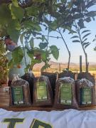 WhatsApp Image 2021-09-17 at 12.03.45 PM.jpeg