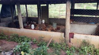 WhatsApp Image 2021-09-24 at 14.55.40.jpeg