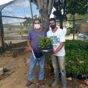 Agricultores de Jaguaquara.jpeg