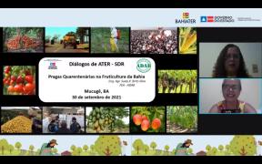 WhatsApp Image 2021-10-01 at 16.04.16.jpeg