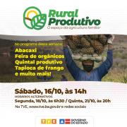 WhatsApp Image 2021-10-15 at 14.32.33.jpeg