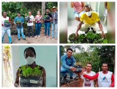 Biofábrica, SDR e PAT revolucionam mandiocultura no Extremo-Sul da Bahia.JPG