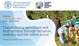 WhatsApp Image 2021-11-05 at 18.34.35.jpeg