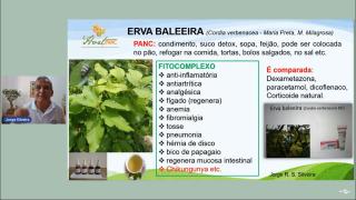 WhatsApp Image 2021-11-11 at 17.05.19 (2).jpeg