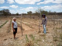 WhatsApp Image 2021-11-16 at 10.08.03 (1).jpeg