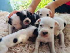 WhatsApp Image 2021-12-16 at 11.51.33.jpeg