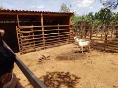 WhatsApp Image 2022-02-11 at 16.50.15 (1).jpeg