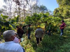 WhatsApp Image 2022-04-08 at 17.39.15.jpeg