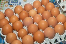 WhatsApp Image 2022-05-11 at 13.45.59.jpeg