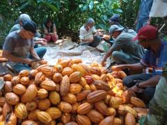 WhatsApp Image 2022-07-12 at 17.21.42.jpeg