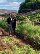 WhatsApp Image 2022-08-10 at 11.47.01.jpeg