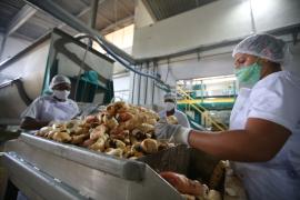 WhatsApp Image 2022-08-10 at 15.07.56.jpeg