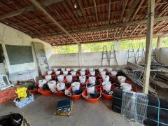 WhatsApp Image 2022-08-15 at 16.30.27.jpeg