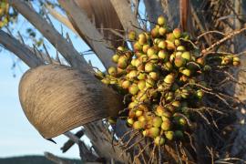 WhatsApp Image 2022-08-16 at 17.04.54.jpeg