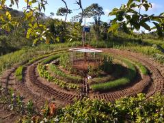 WhatsApp Image 2022-09-06 at 16.15.48.jpeg