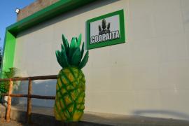 WhatsApp Image 2022-10-23 at 07.19.03 (1).jpeg