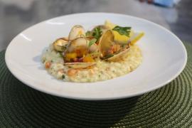 WhatsApp Image 2022-12-16 at 13.05.37.jpeg