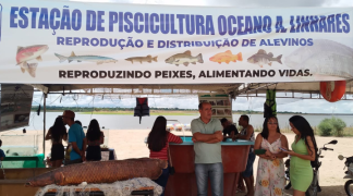 Design sem nome (2).png