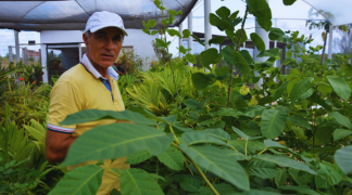 Design sem nome (9).png