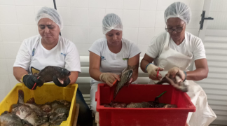 Design sem nome (12).png