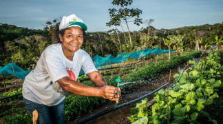 Design sem nome (16).png