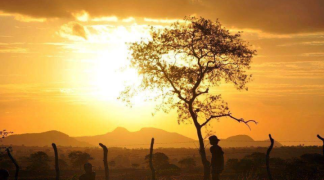 Design sem nome (18).png