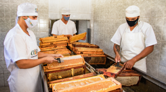 Design sem nome (3).png