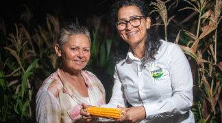 Design sem nome (1).png