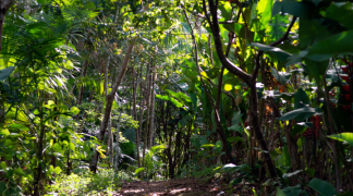 Design sem nome (21).png