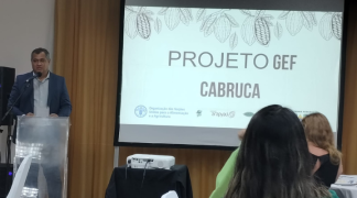 Design sem nome (33).png