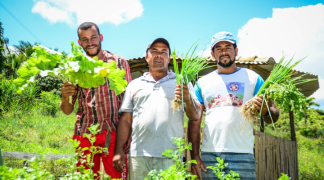 Design sem nome (36).png