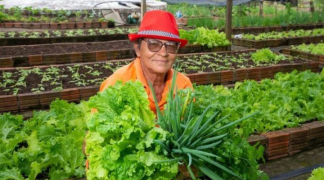 Design sem nome (6).png