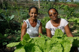 PL agroecologia 1.png