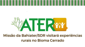 Design sem nome (19).png