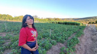 Design sem nome (24).png