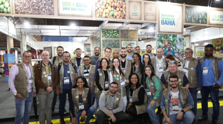 Design sem nome (30).png