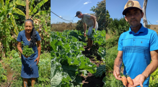 Design sem nome (33).png