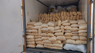 Design sem nome (51).png