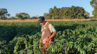 Design sem nome (37).png