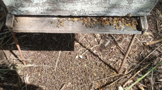 Design sem nome (38).png