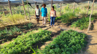 Design sem nome (42).png